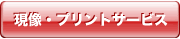 現像・プリントサービス